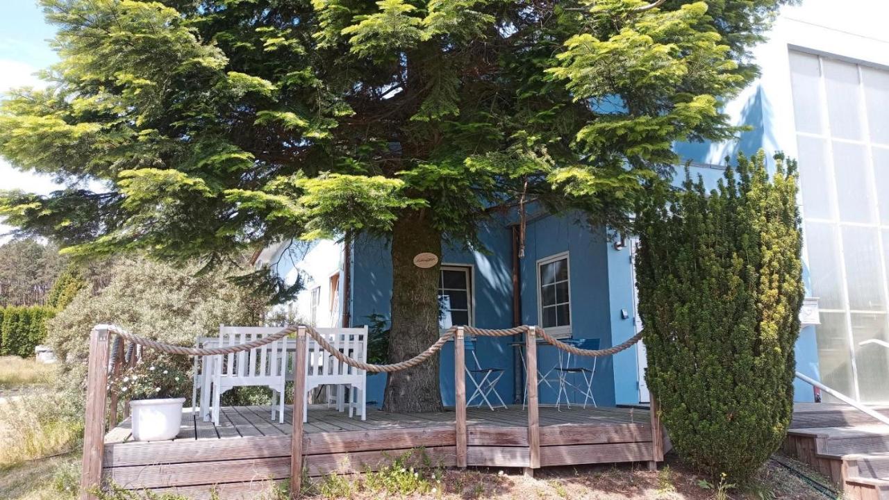 Ferienwohnung Naturparadies Gnitz Lutow Ngoại thất bức ảnh